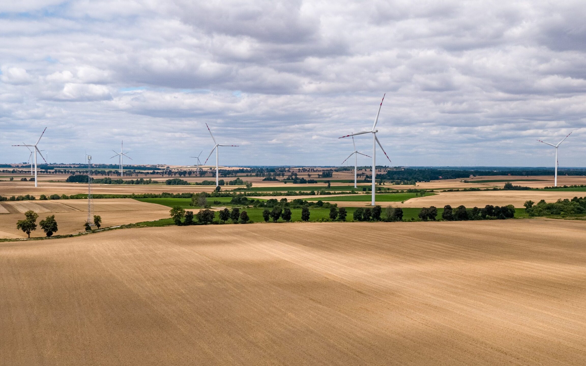 Polski sektor OZE w dobie rozwoju „zielonej energetyki