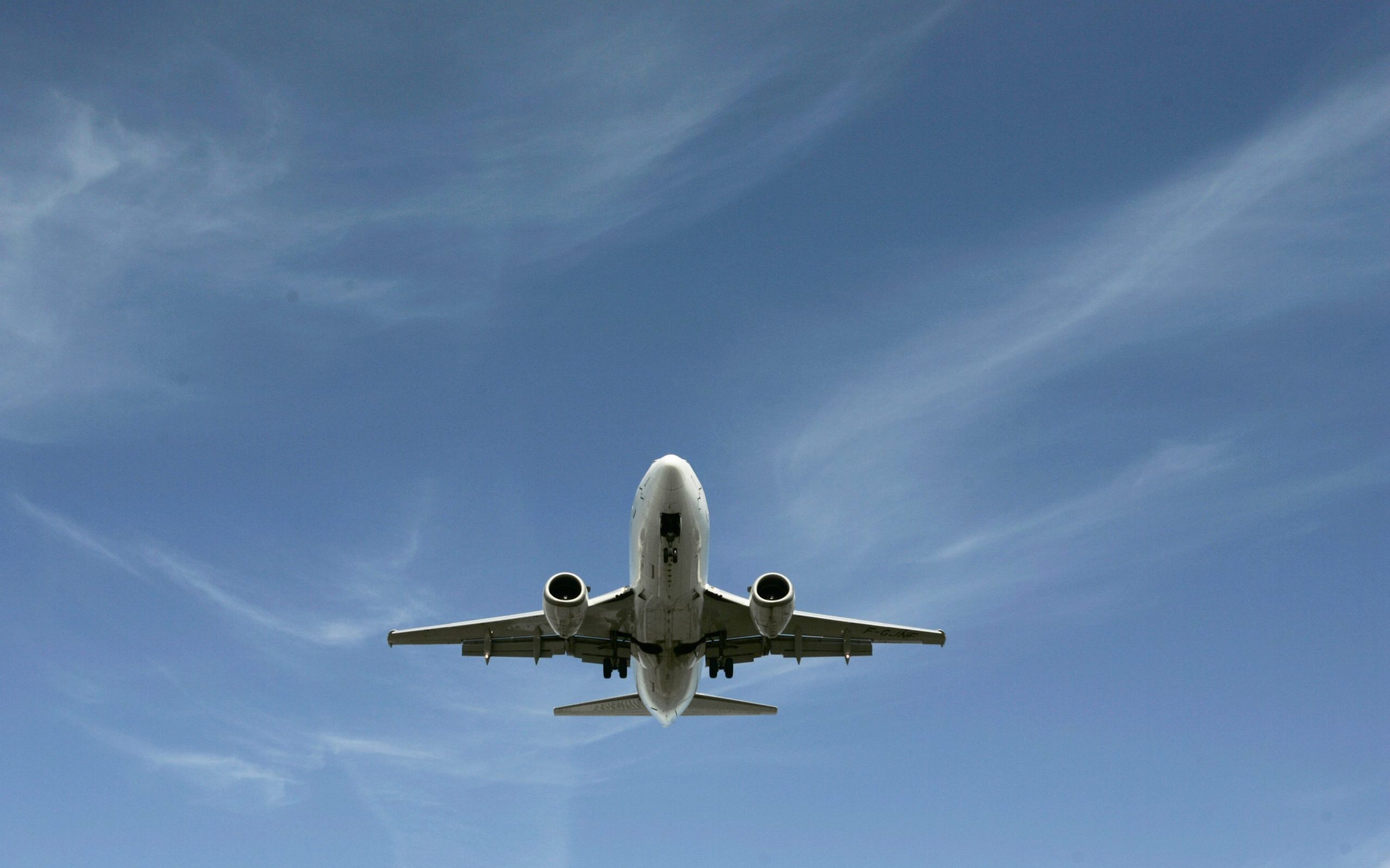 Logistyczne Święta Last Minute